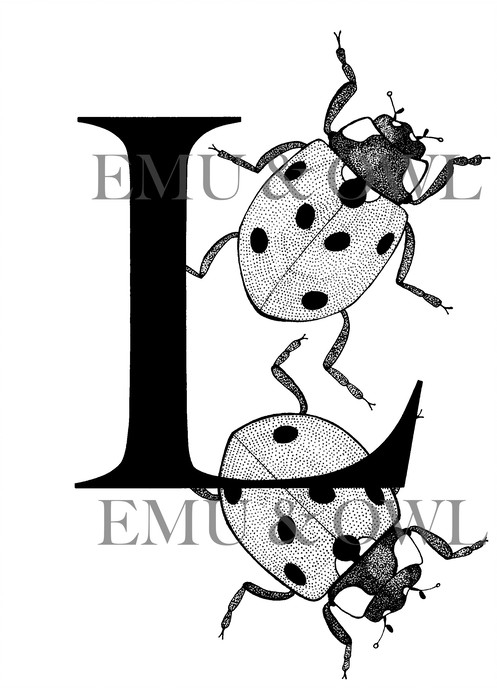497x688 ladybirds letter l