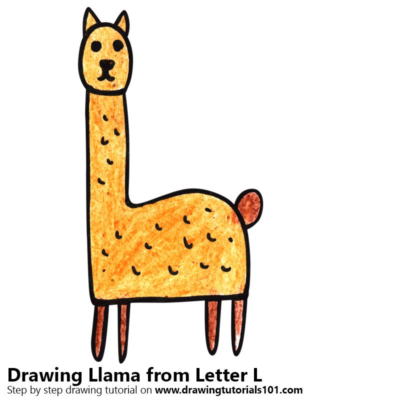 800x800 Learn How To Draw A Llama From Letter L
