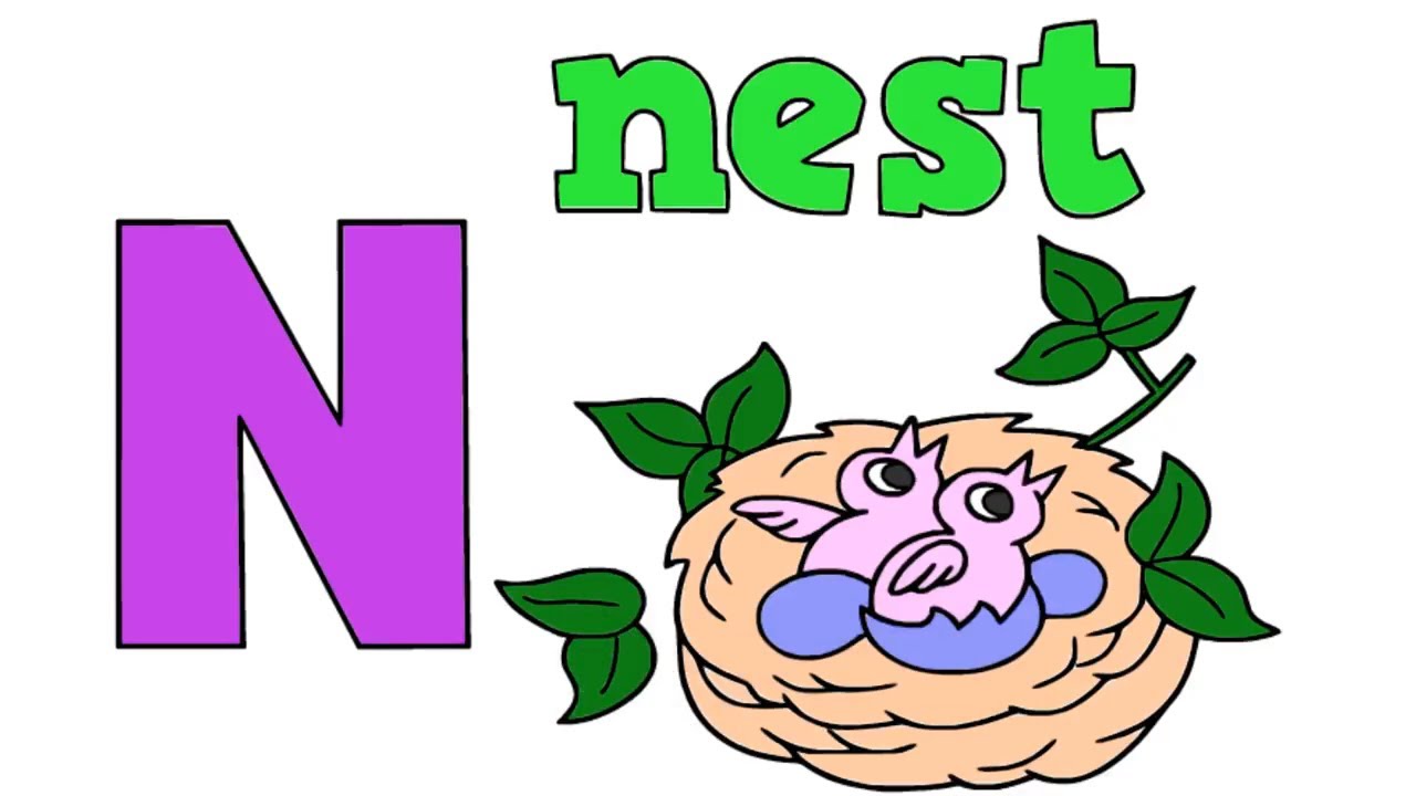 1280x720 The Alphabet Letter N Nest Drawing For Kids N Is For Nest