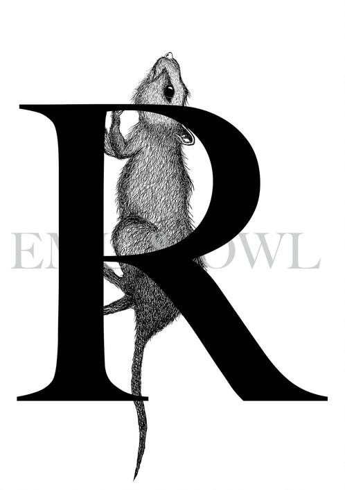 498x706 Rat Letter R