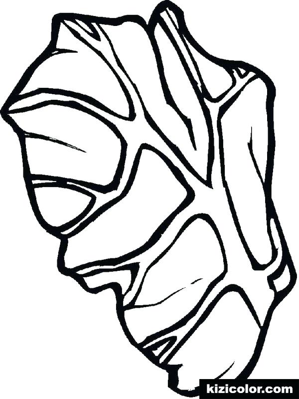 600x800 Lettuce Coloring