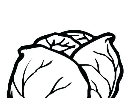 440x330 Lettuce Coloring