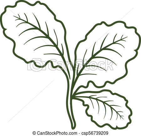 450x433 Leaf Lettuce Icon Isolated On White Background