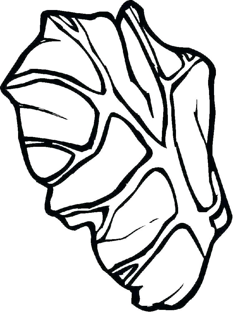 750x1000 Lettuce Coloring