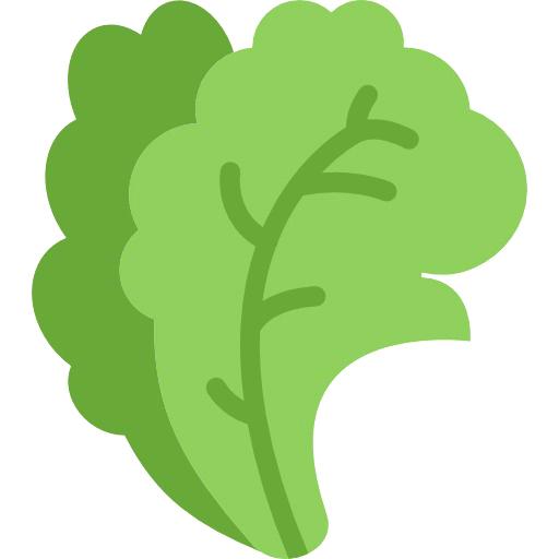 512x512 Lettuce Leaf Clipart