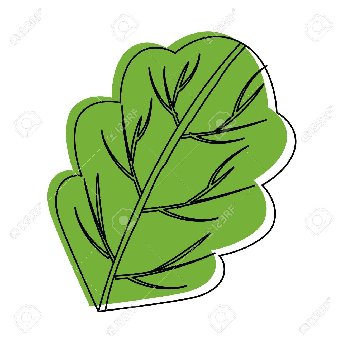 1300x1300 Lettuce Leaf Icon Clipart Portal