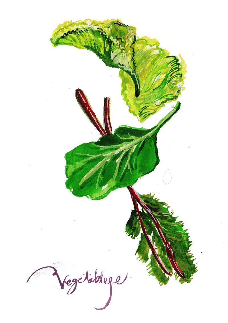 800x1132 This Is Vegetable Drawing