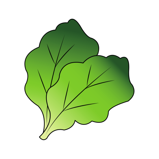 Lettuce Leaf Drawing | Free download on ClipArtMag