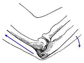 320x240 mechanics in exercise levers