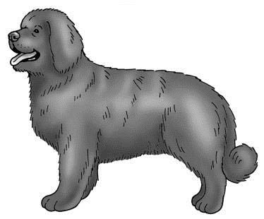 374x310 Primary Members Of The Lewis And Clark Expedition