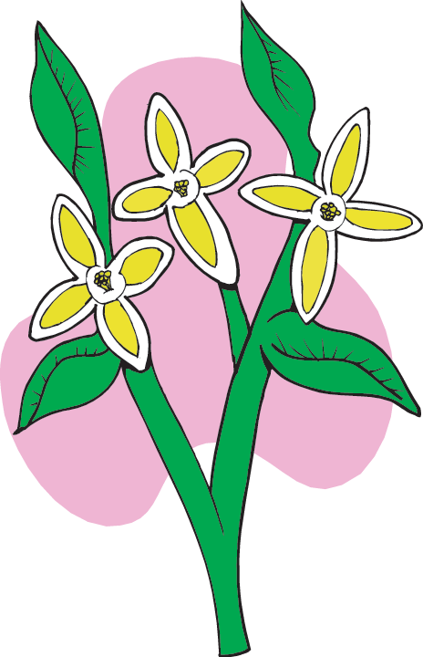 464x720 Science Of Lewis Clark Resources