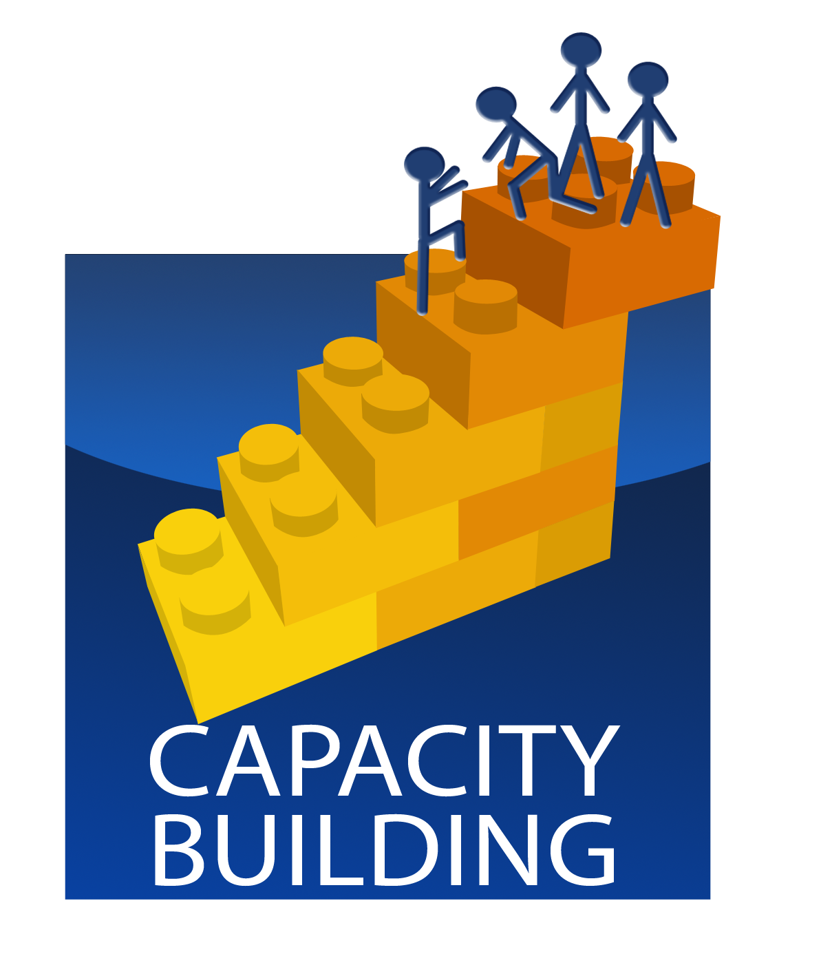1209x1418 Capacity Building For Library Professionals