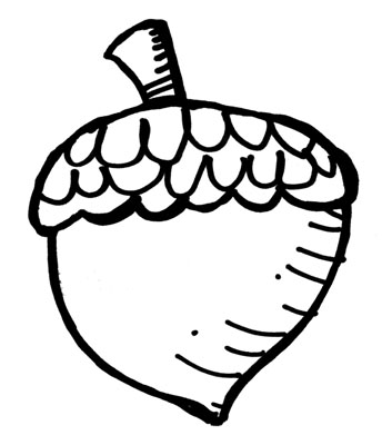 353x400 draw acorn acorn drawing