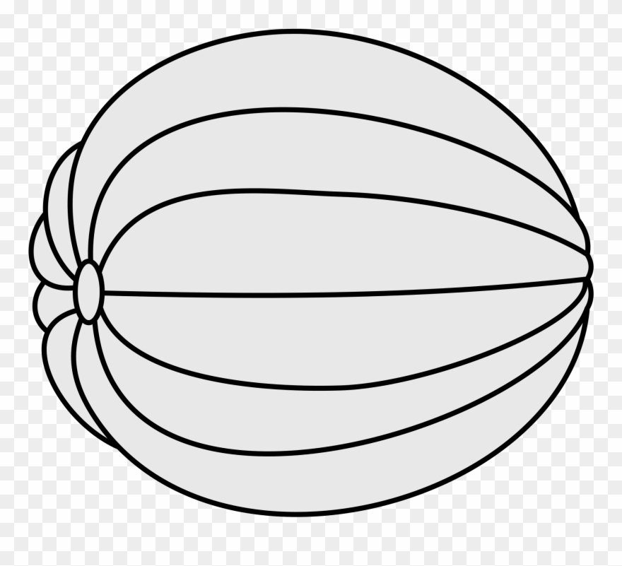 880x801 black and white library melon drawing