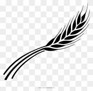 320x315 Clip Art Royalty Free Library Marinoffv Gmail