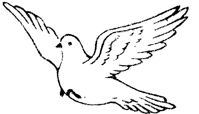 824x472 Draw A Dove More Dove Drawings Dovetail Drawer