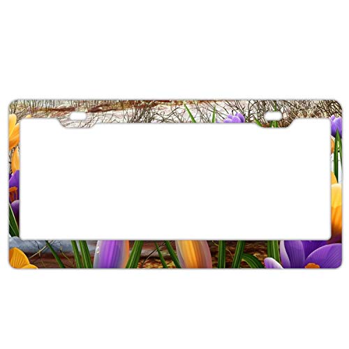 500x500 Pangera License Plate Snowdrops Drawing Flowers Plants Car Tag