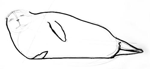 499x231 How To Draw A Seal
