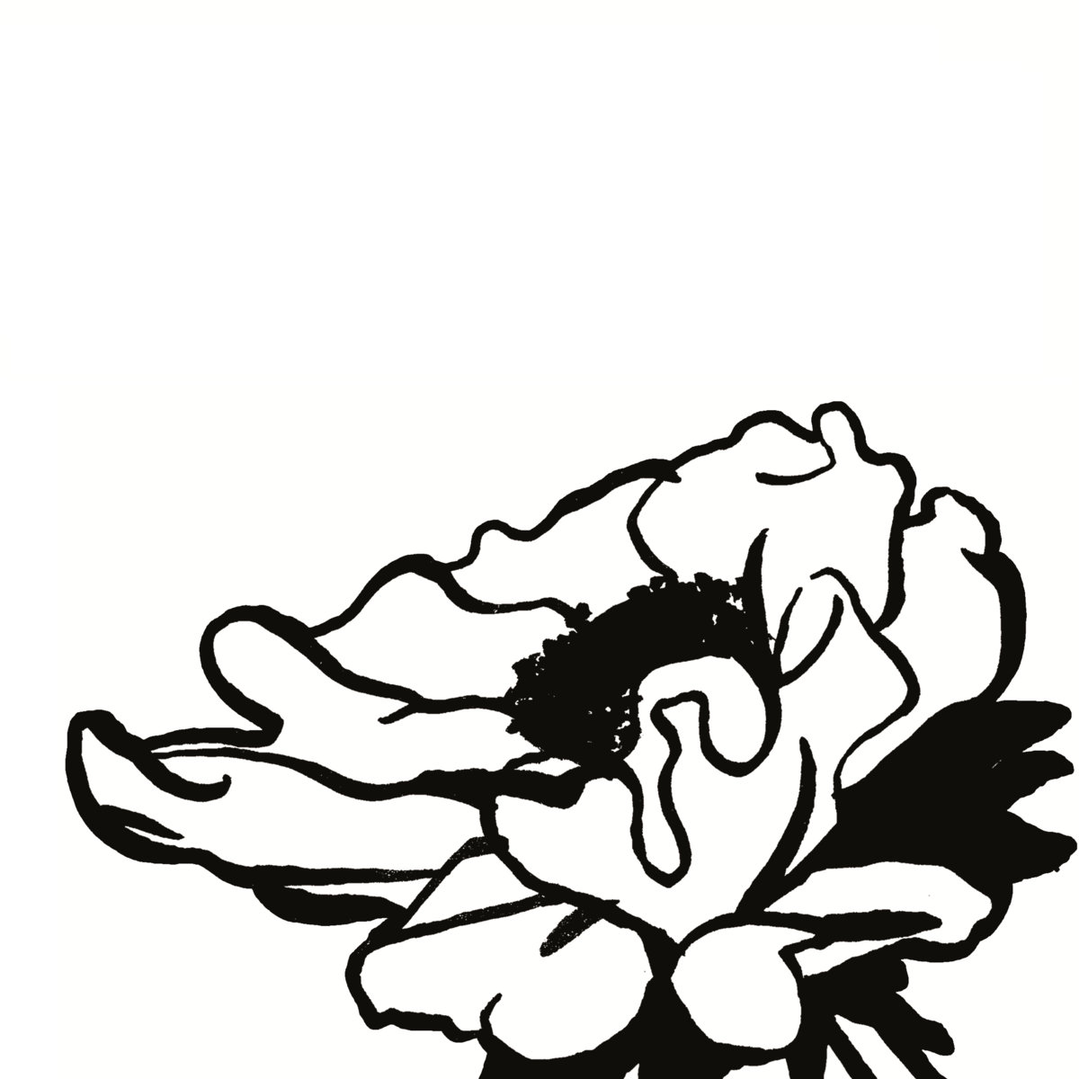 1200x1200 when you lie flowers