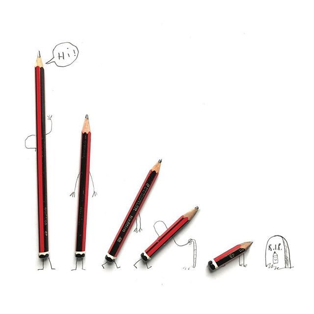 640x640 Ged Adamson On Twitter The Life Cycle Of The Common Pencil