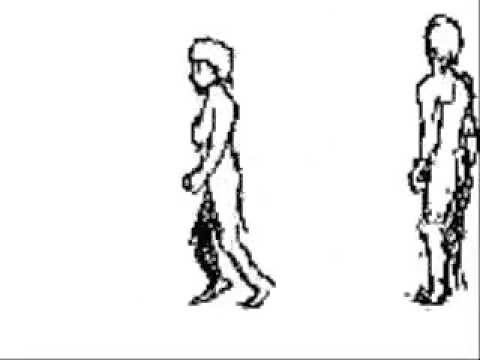 480x360 Nutrition Through The Life Cycle