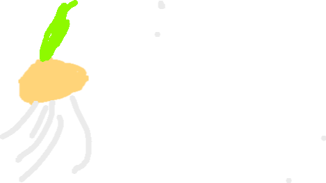 469x263 Plant Life Cycle Tynker