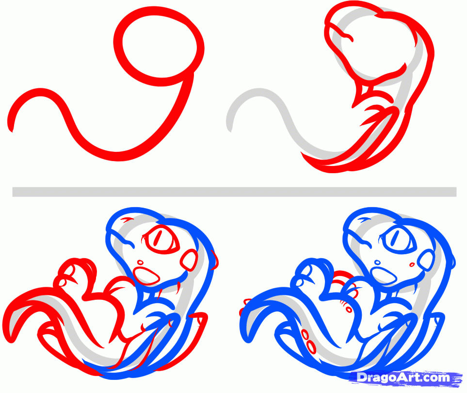 963x810 Draw A Dragon Life Cycle, Aging Dragon, Dragon Aging Process, Step