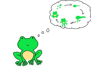 300x250 Dancing Frog