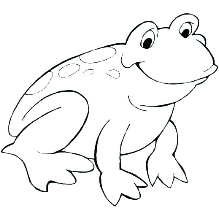 736x736 leap frog coloring pages free leapfrog life cycle hashclub