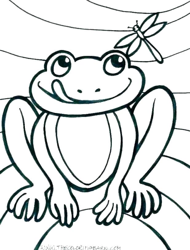 Life Cycle Of A Frog Drawing | Free download on ClipArtMag