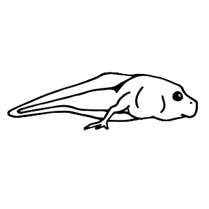 300x300 click on images to download a larger image right click and save