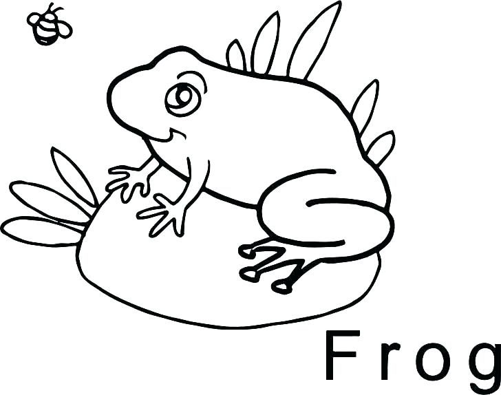 728x574 Coloring Picture Of Frog Life Cycle Kermit The Pages Tree Frogs