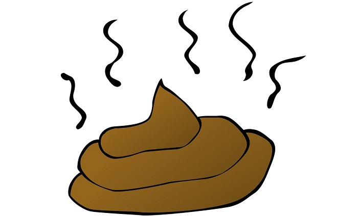 700x424 dreams about poop, feces meaning and interpretation