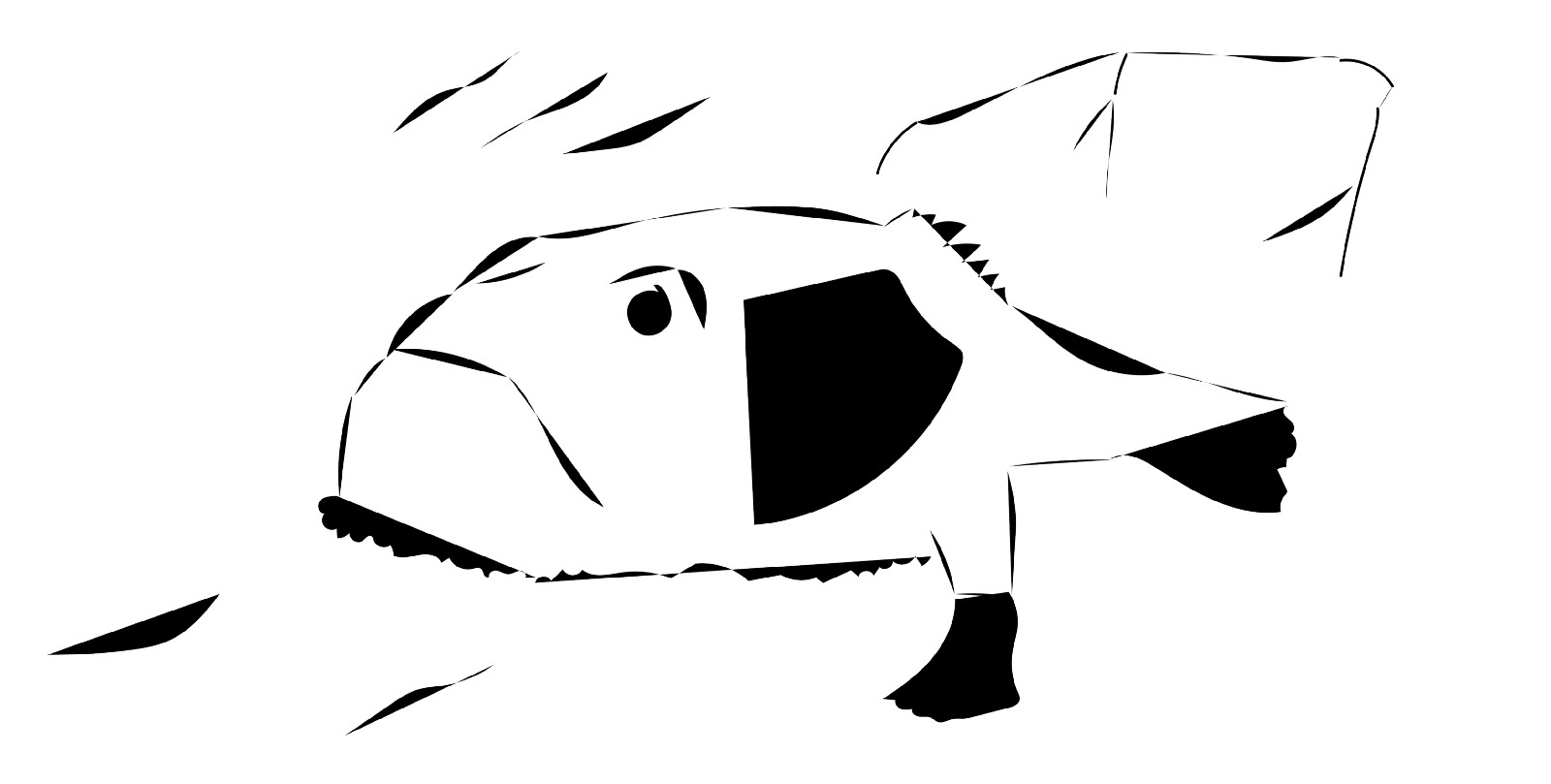 1600x809 Sea Toads Explain The Meaning Of Life A Few Words Medium