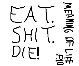 300x250 What Is The Meaning Of Life Pio