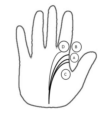 342x400 Ovi Magazine Palmistry