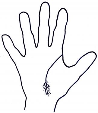 325x373 Palm Reading Life Lines Lovetoknow