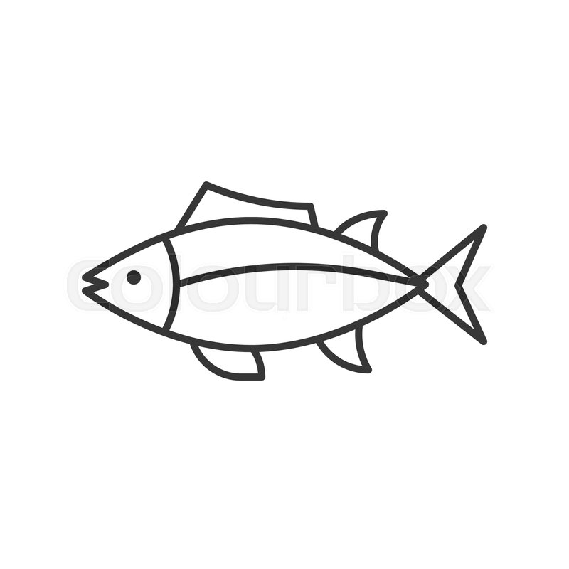 800x800 Tuna Icon, Set Of Ocean Life, Line Stock Vector Colourbox