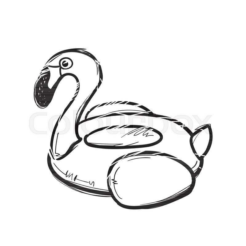 800x800 Flamingo Swim Ring Pool Float Stock Vector Colourbox