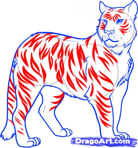 485x520 learn how to draw a liger, liger, forest animals, animals, free