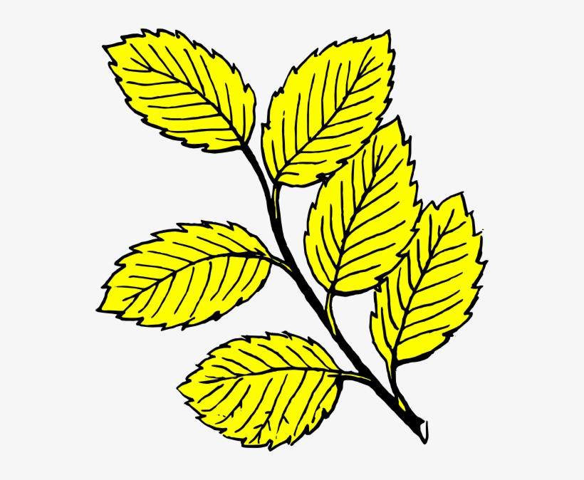 820x674 Leaves Light Clip Art At Clker