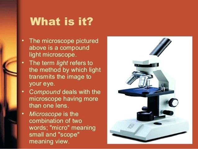 638x479 compound light microscope compound light microscope parts