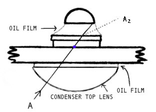 313x225 mic uk the oil immersion objective