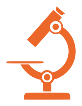 263x340 Optical Microscope Drawing Optics Microscopio Simple Cc0