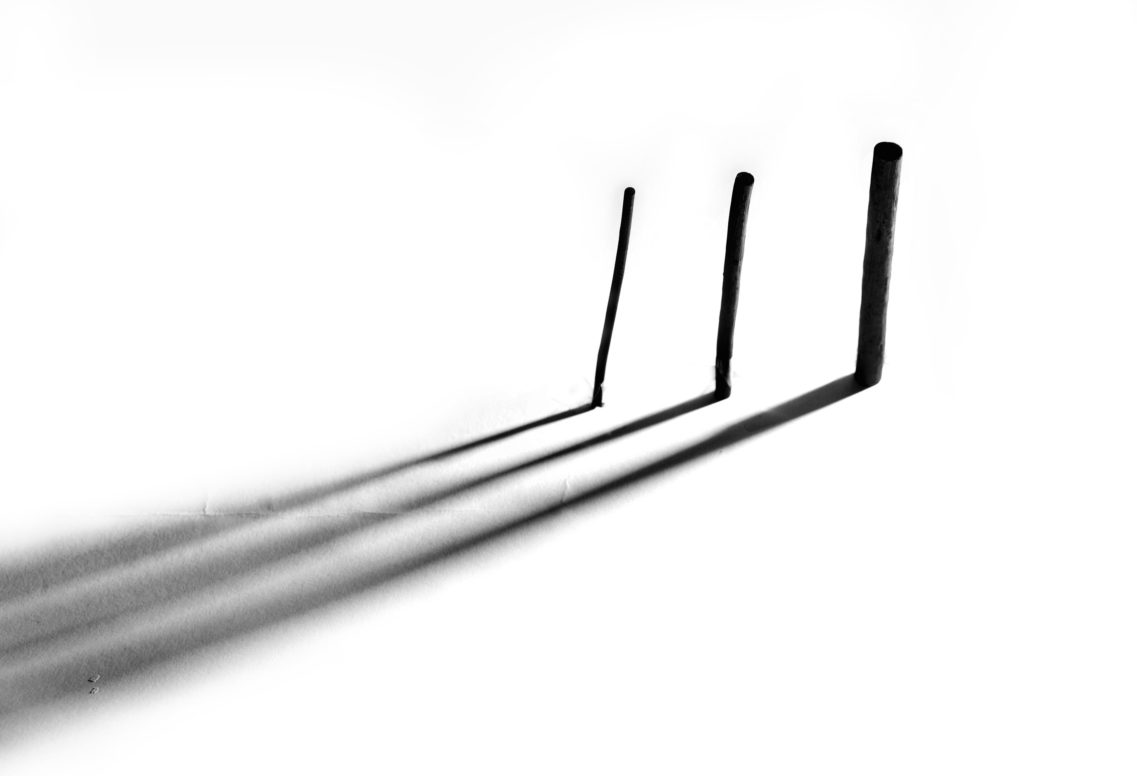 3880x2651 Wallpaper Wood, Light, Shadow, Bw, White, Black, Tree, Art