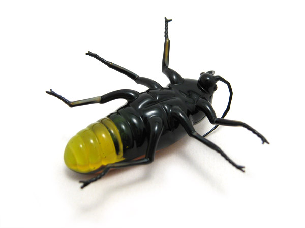 600x450 Lightning Bug Drawing