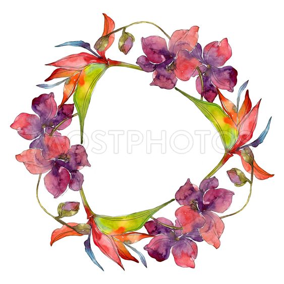 563x563 Exotic Tropical Floral Bota