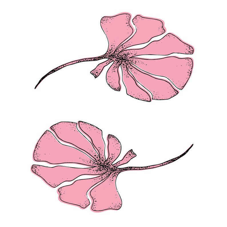 794x794 monstera line drawing minimal pink original line art botanical etsy