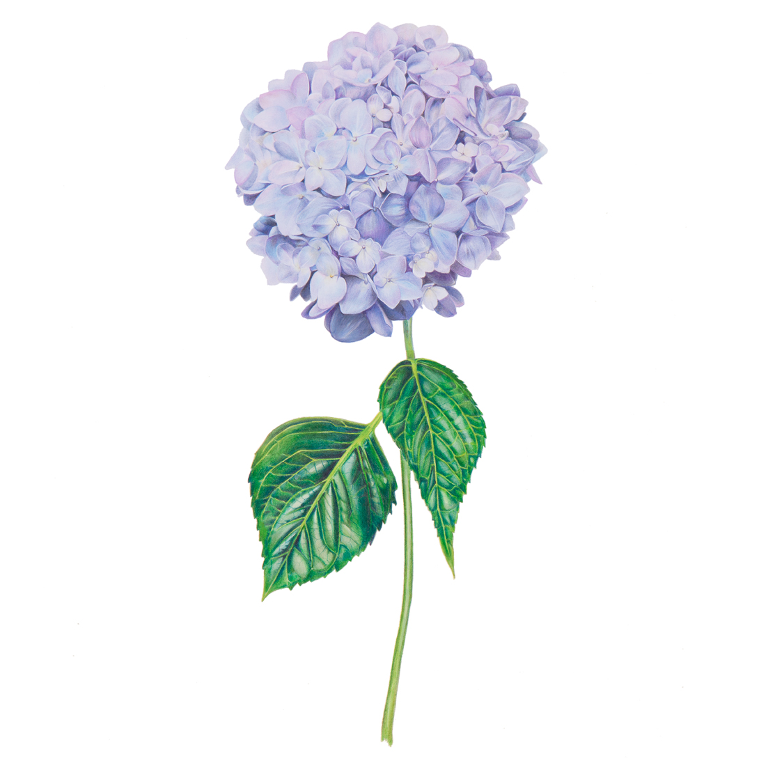 1090x1090 Sarah Jane Humphrey