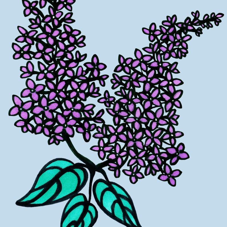 794x794 Lilac Blue Drawingmixed Media Art Print Instant Etsy